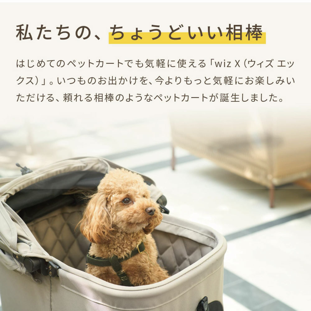 楽天市場】エアバギー フィットウィズ エックス WIZ X チェリーピンク