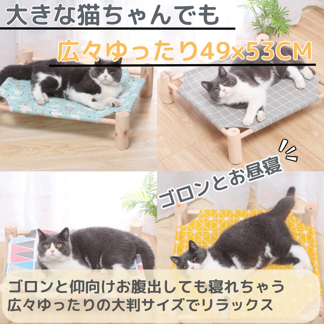 楽天市場】猫 犬 ハンモック 【 壊れても1年間交換保証】 猫用
