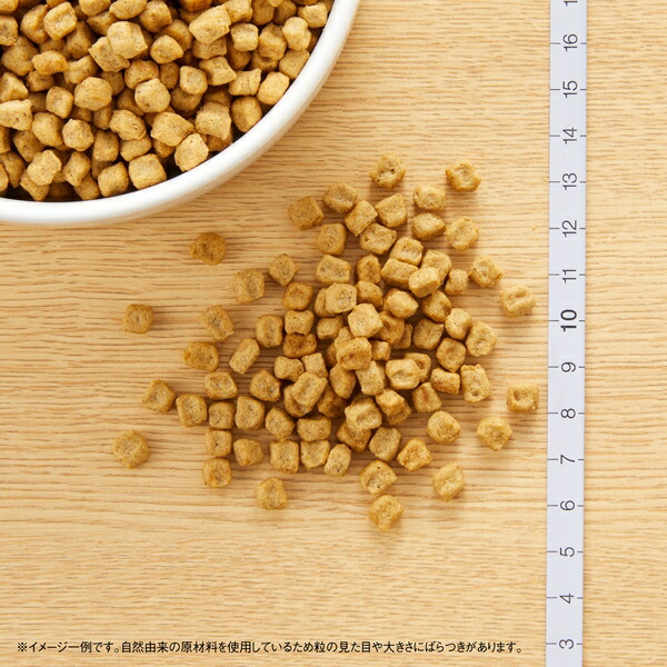 楽天市場】◇ニュートロ ナチュラルチョイス 避妊・去勢犬用