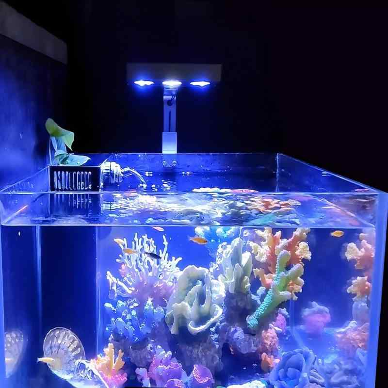 楽天市場】Hipargero 水槽ライト-2024年3世代A029タイマーと表示機能