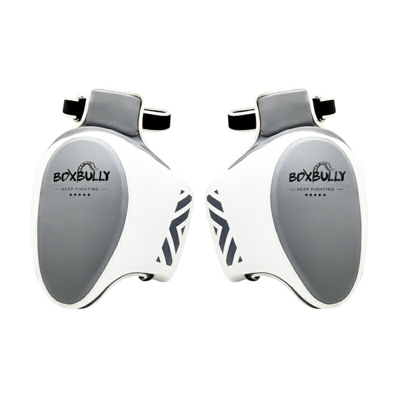 美品 ボディメーカー コーチングプロテクタープロ 空手 キック