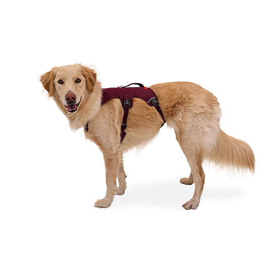 楽天市場】【最大1000円オフクーポンあり】RUFFWEAR ラフウェア