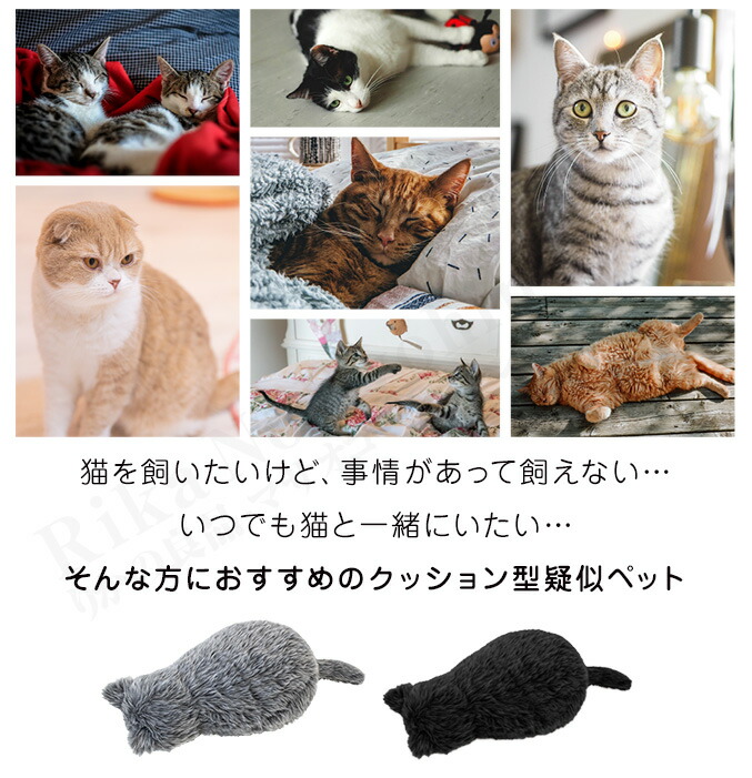 楽天市場】ミャウエバー 【すぐに遊べる⇒単4電池付き☆包装無料