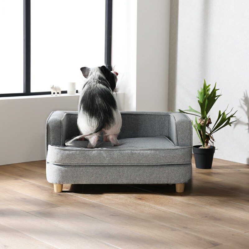 楽天市場】【公式】犬 猫 ソファ クッション 取り外し 洗える おしゃれ