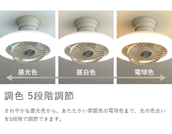 楽天市場】【2大特典付き】シーリングライト シーリングファン【正規