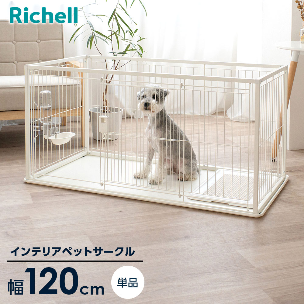 1381136.jpg?fitin=720:720