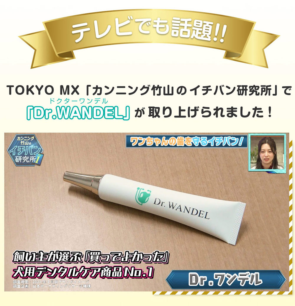 Dr. WANDEL ドクターワンデル デンタルケア用品 8本セット Amazon.co