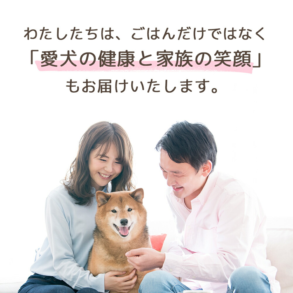 楽天市場】【クーポンで今だけお得！/楽天1位/獣医師推奨