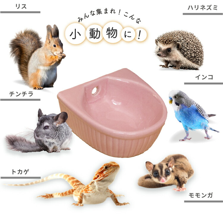 楽天市場】小動物用 えさ入れ 陶器製 留め具付き Lサイズ | うさぎ