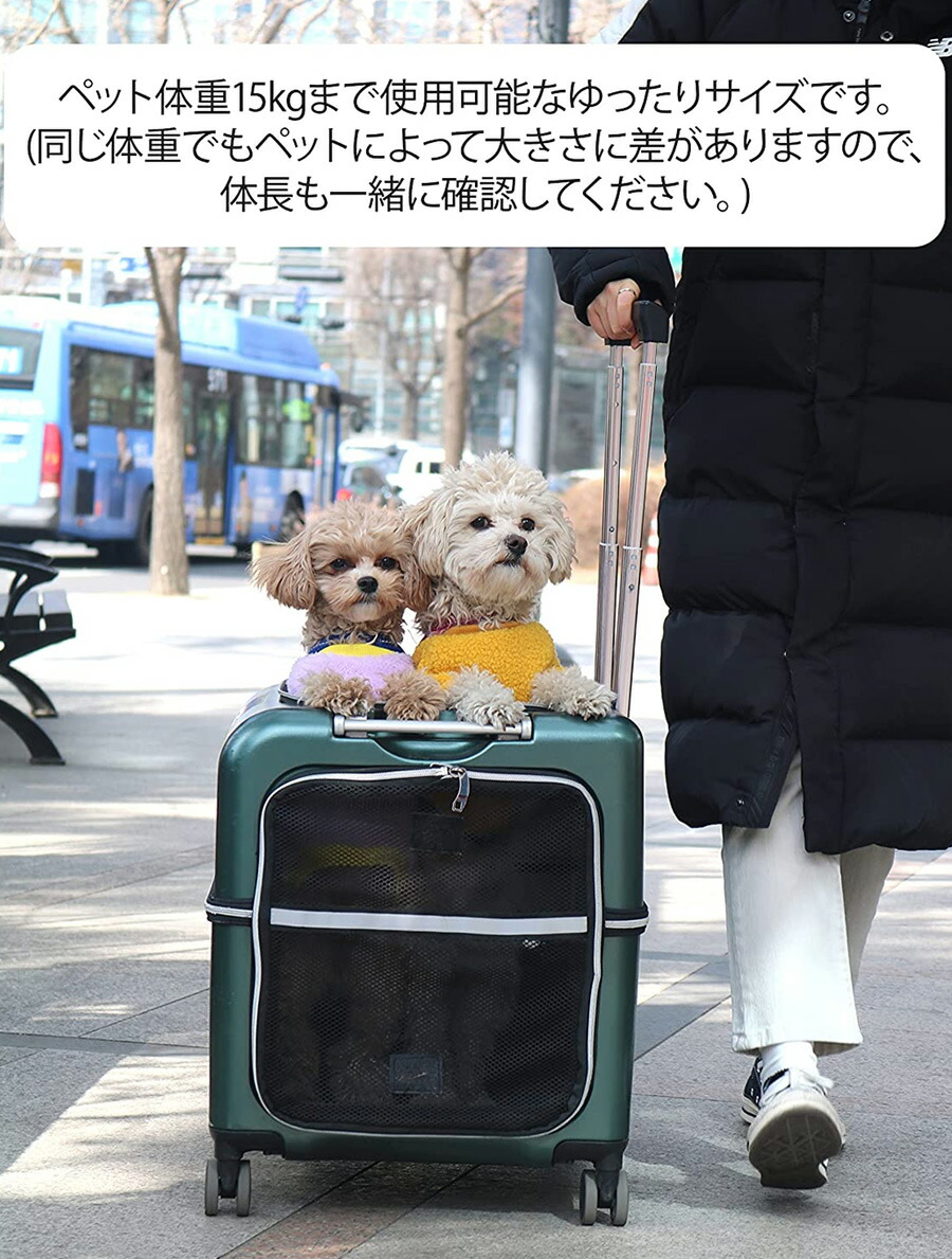楽天市場】【RETOO公式】ペットネル ペット キャリー バッグ かばん