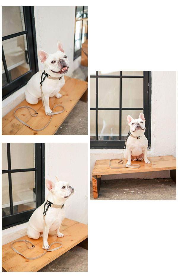 楽天市場】【Lambwolf Collective（ラムウルフコレクティブ） 】APEX