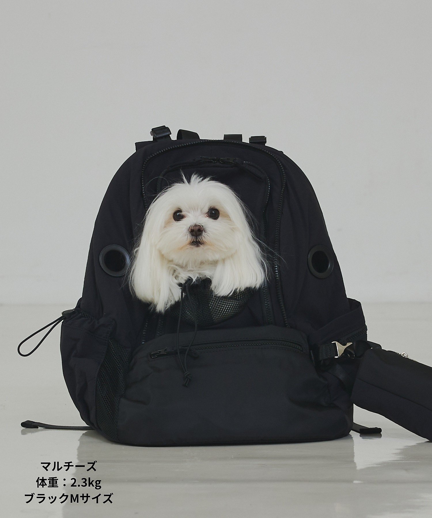 LOWELL Things｜MATIE/ペットリュックM【Direction by 有末 麻祐子