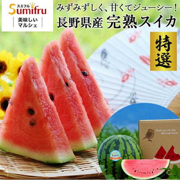 楽天市場】特大 4Lサイズ 長野県産 特選スイカ すいか スイカ むぎわら