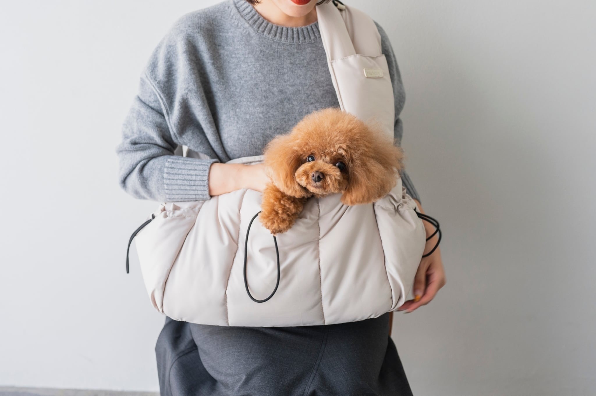 楽天市場】【P3倍！】 Milla Noue ミラヌー 小型犬 ドライブベット