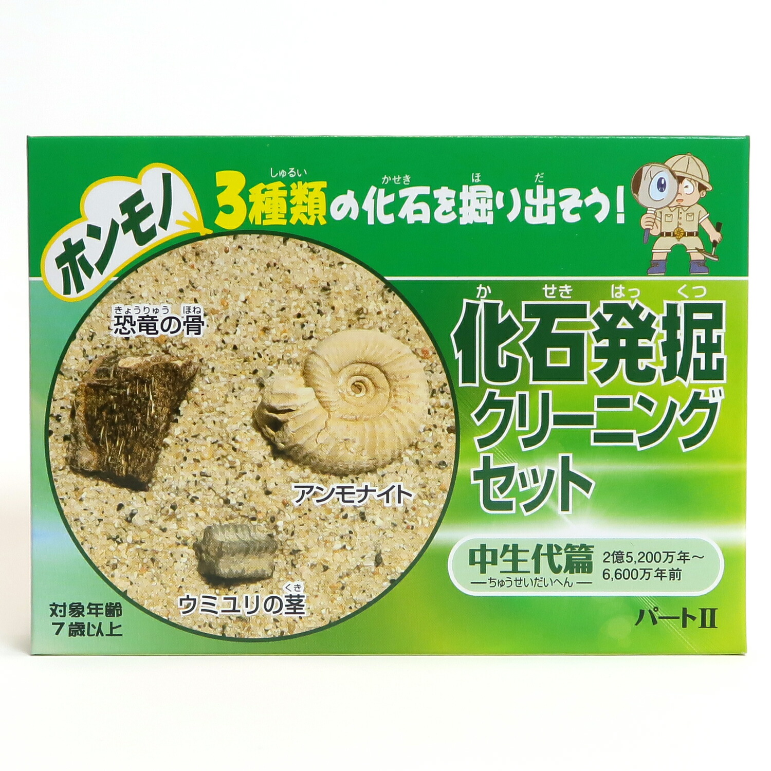 楽天市場】さぁ化石発掘体験！化石発掘クリーニングセット パート2