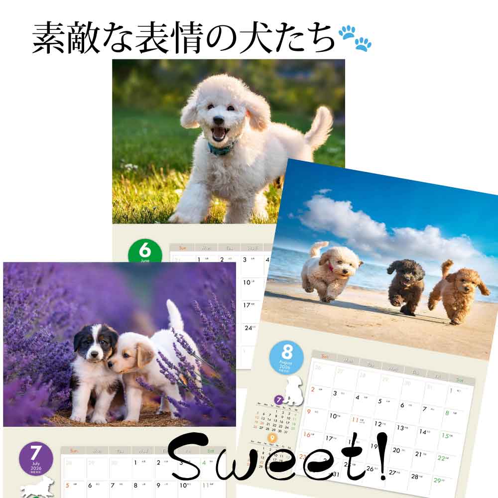 楽天市場】オリジナル犬【dog1】写真カレンダー 2026年版 - 愛らしい犬