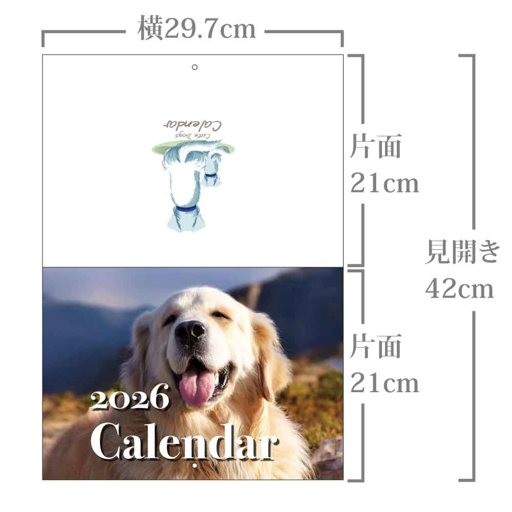 楽天市場】オリジナル犬【dog1】写真カレンダー 2026年版 - 愛らしい犬