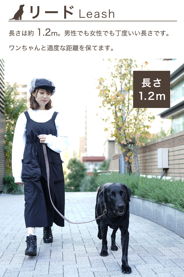 楽天市場】大型犬 レザー 首輪 リード セット 中型犬 犬用 おしゃれ