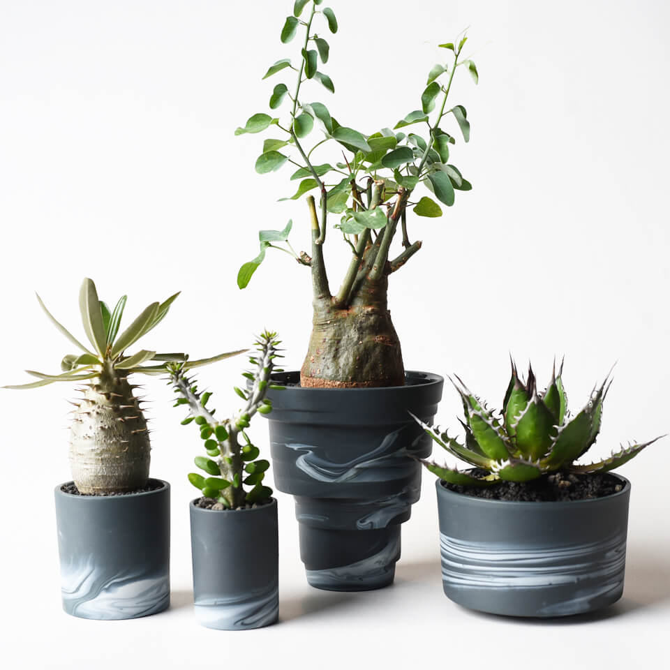 美芸鉢 懸崖鉢 和鉢 ミニ鉢 2点セット 美芸鉢 懸崖鉢 和鉢 ミニ鉢 2点