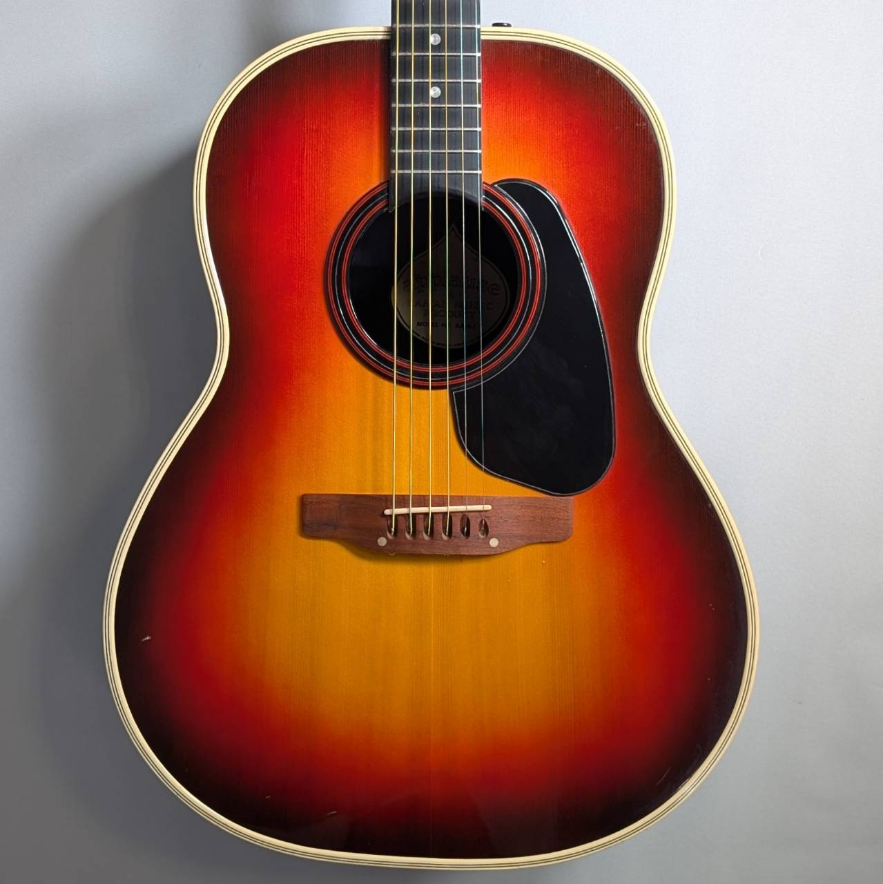 楽天市場】ovation applauseの通販