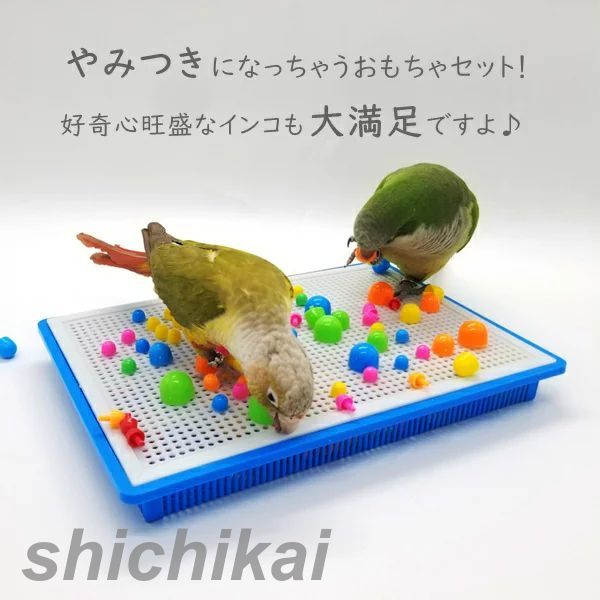 楽天市場】鳥のおもちゃ インコ おもちゃ バードトイ 鳥 小鳥 ストレス