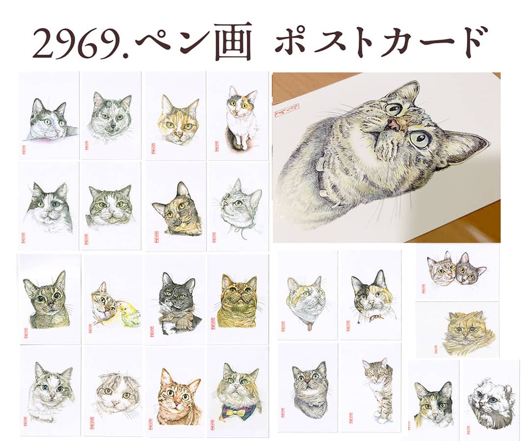 楽天市場】猫 ペン画 ポストカード【2969.】 キジ 白黒 サバ白 三毛