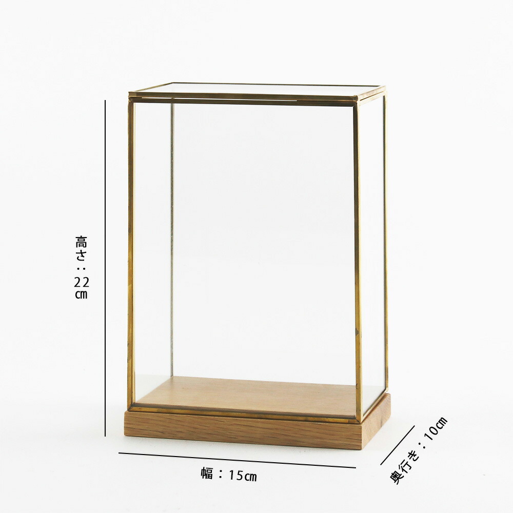 楽天市場】【在庫限りの特別価格】公式 shesay BRASSフレーム