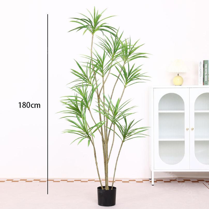 美品 掛け軸 松沢春草作 俳画四季図 共箱 4本セット 松尾芭蕉 俳句 美