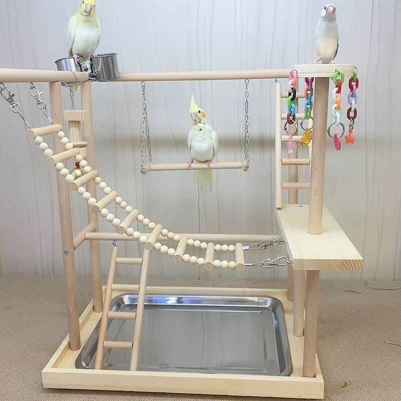 丸】ことりのおおきなあそびば 丸】ことりのおおきなあそびば 丸