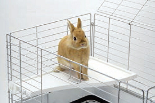 SANKO デグーうさぎ イージーホーム鳥ラットリス小動物ケージ