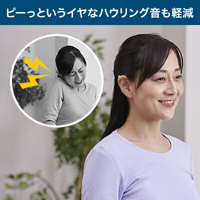 楽天市場】【送料無料】楽ちんヒアリング HK-01(耳かけ型補聴器）正規