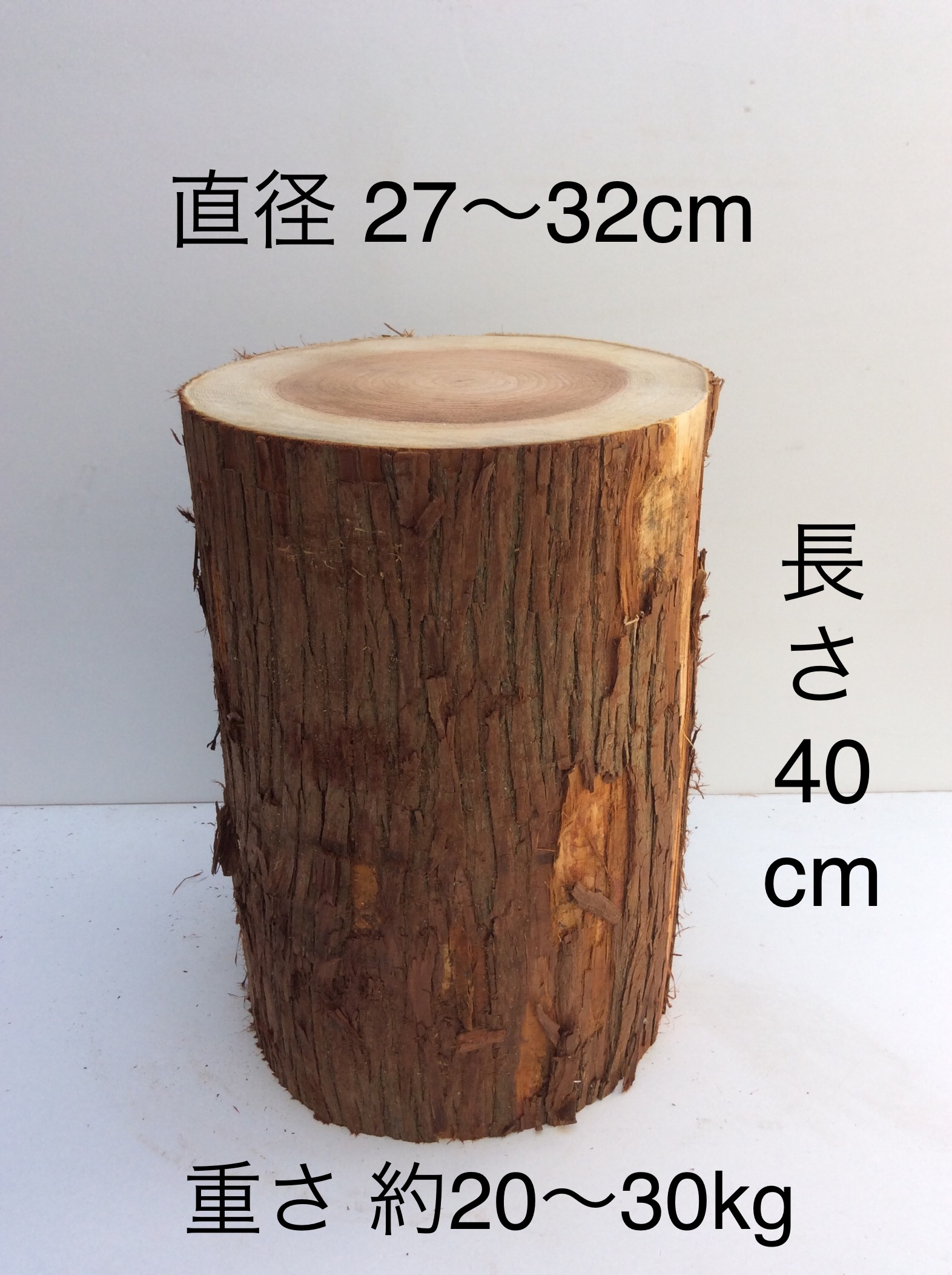 杉 切り株 人気 椅子 スツール 楽天市場】丸太 スツール カフェ