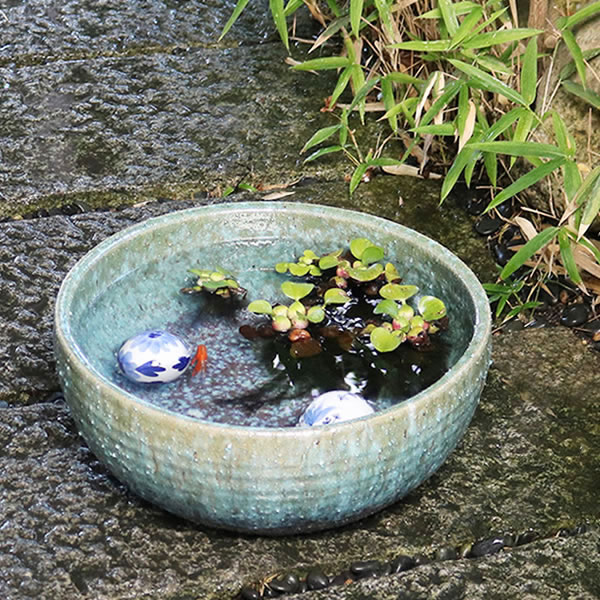 楽天市場】【今だけ10%OFFクーポン配布中】水鉢 すいれん鉢 信楽焼