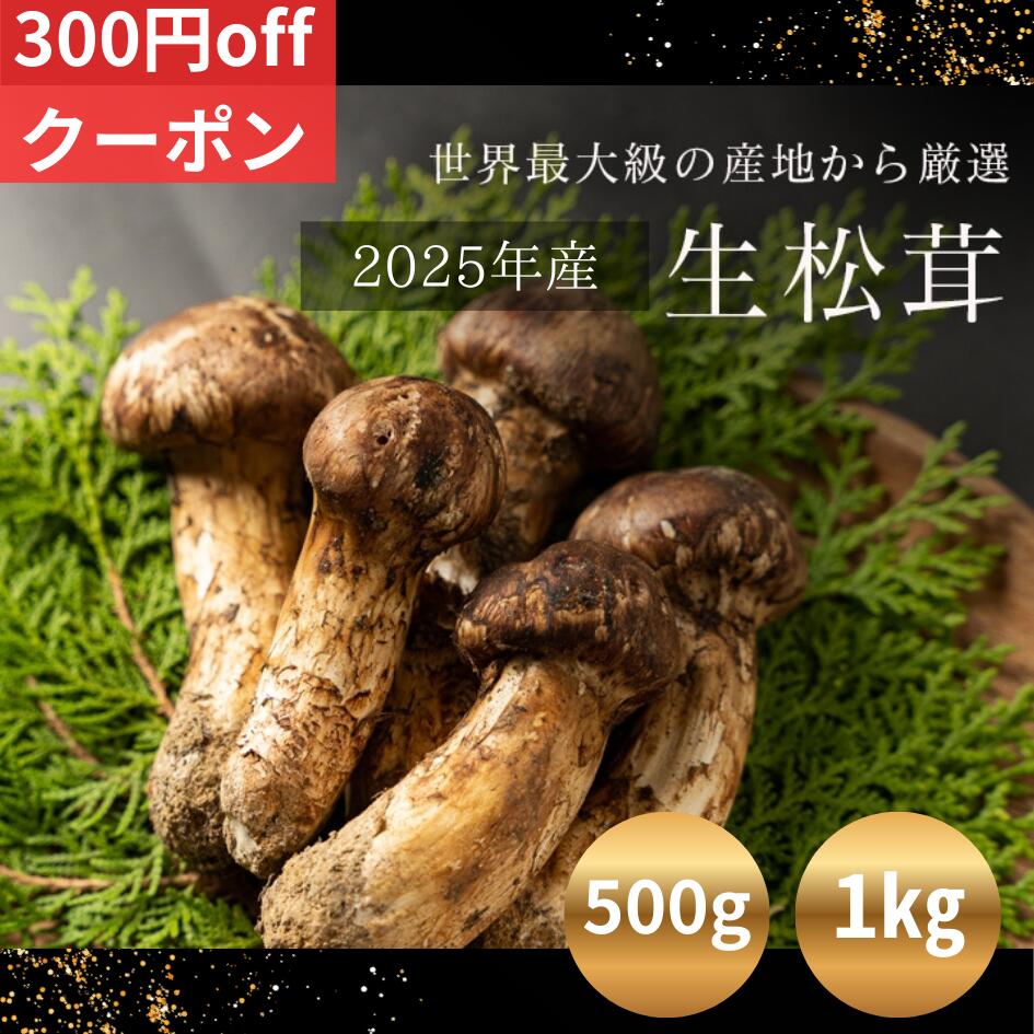 松茸 北海道 500g 訳あり 送料込 国産 ① 松茸 北海道 500g 国産 ①