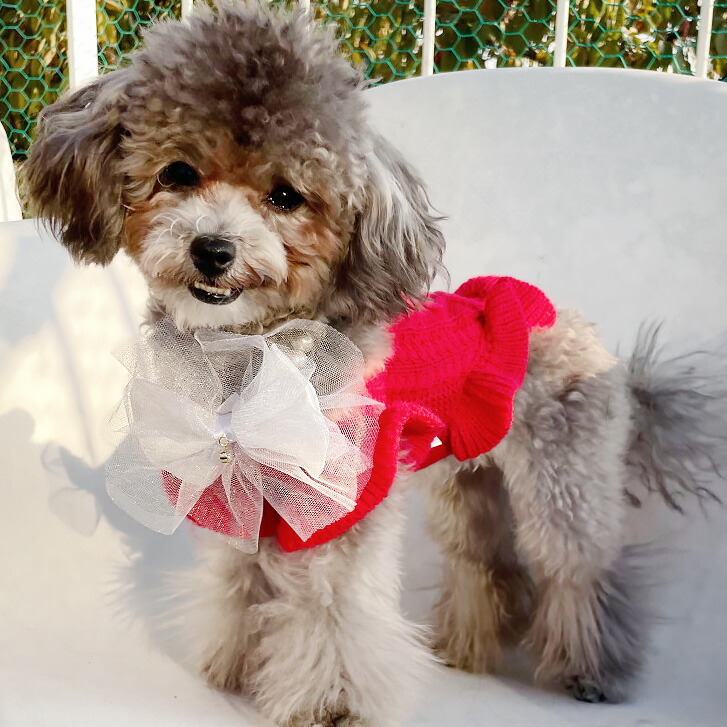 パールリボン♡クリスマス ネックチュール付き 犬服 ハンドメイド