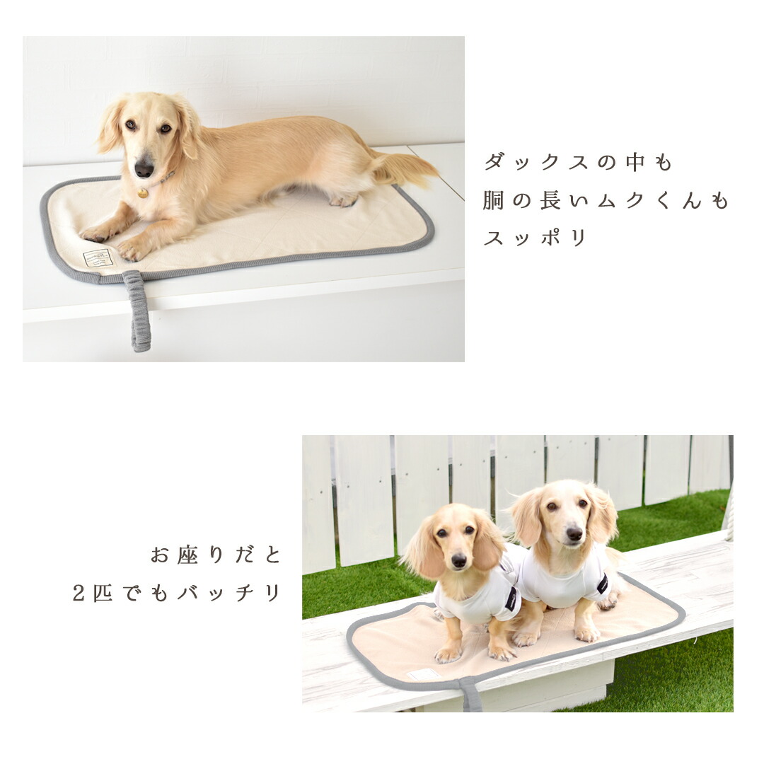 楽天市場】カフェマット ペット用 プリント名入れ マナー 敷物 カフェ