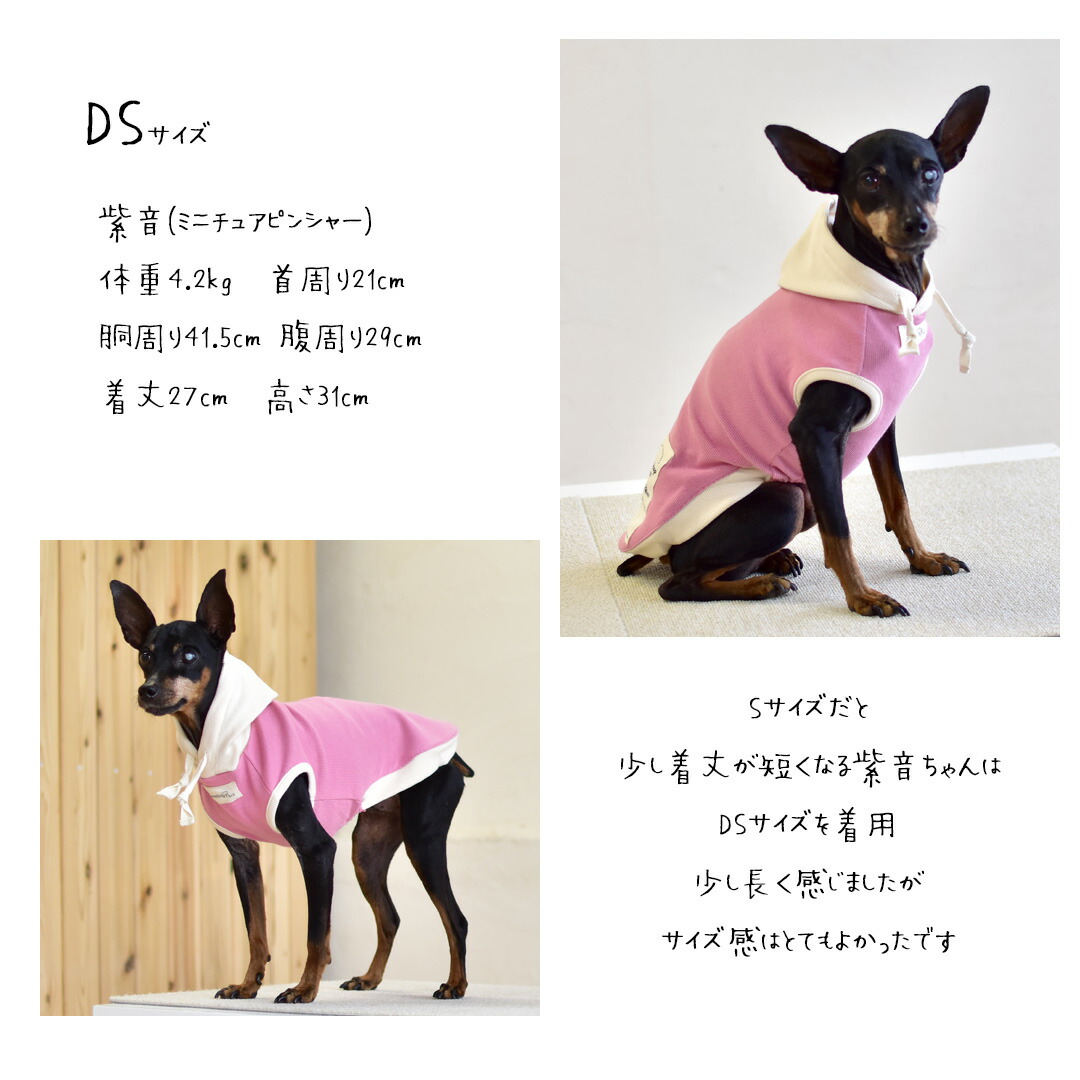 楽天市場】(在庫処分セールの為返品交換不可)パーカー タンクトップ