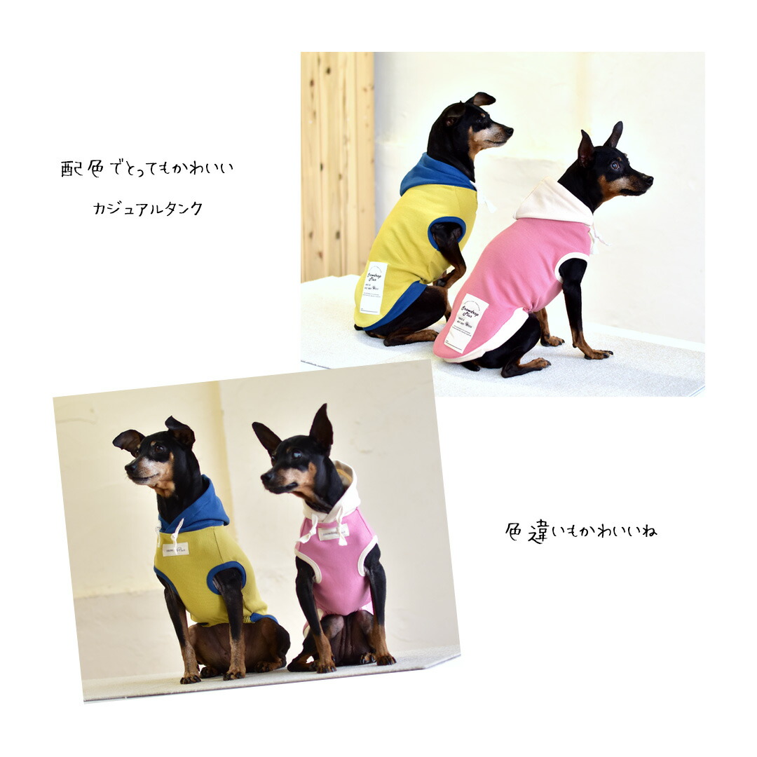 楽天市場】(在庫処分セールの為返品交換不可)パーカー タンクトップ