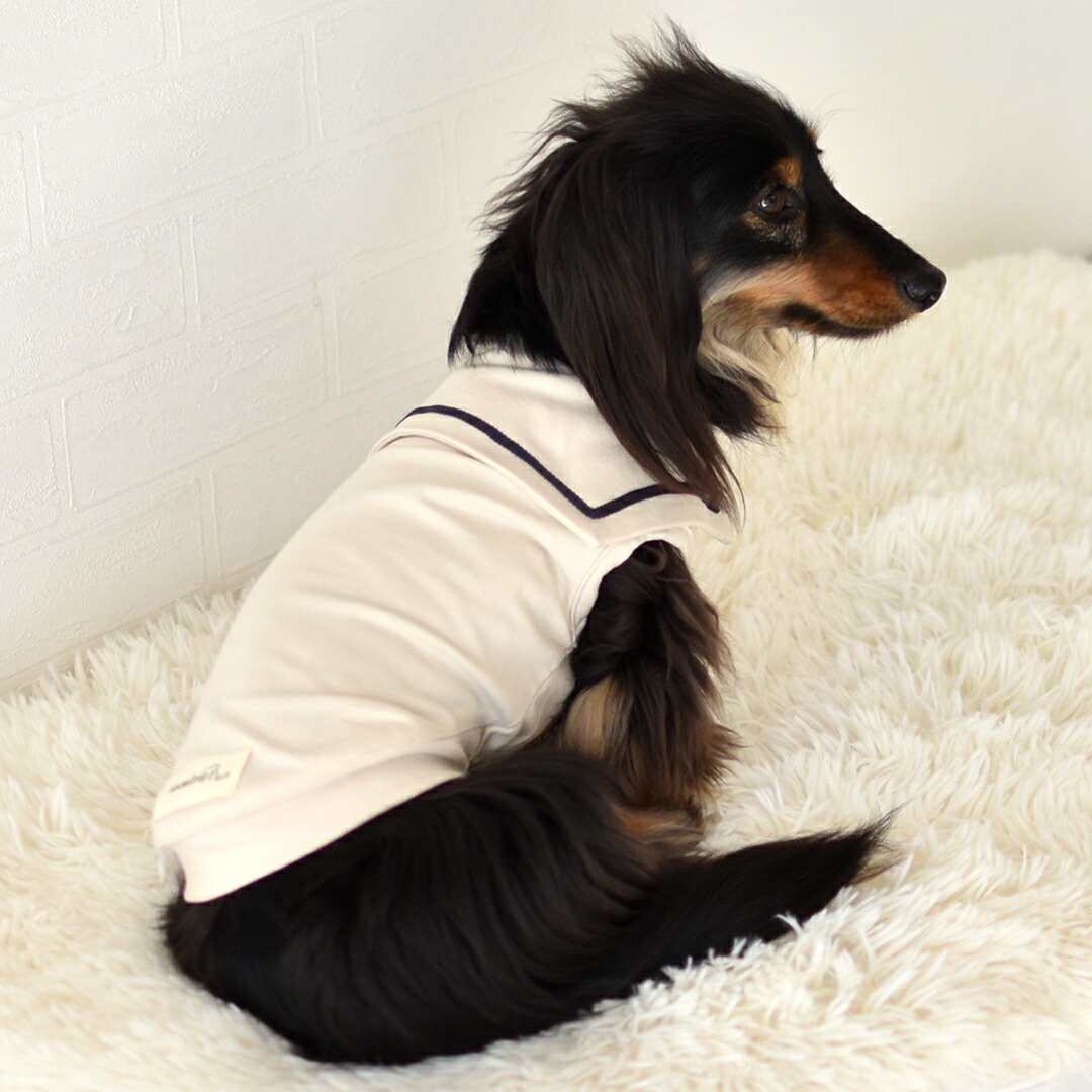 楽天市場】ダックスサイズ セーラー タンクトップ 名入れ 刺繍 犬 服