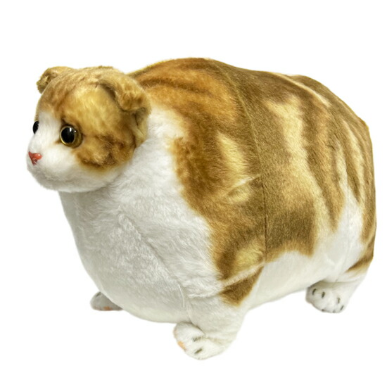 楽天市場】ふとっちぃZoo にゃんこ スコティッシュフォールド 猫の