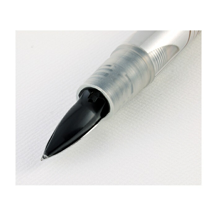 楽天市場】ペン 新ペン先 スクールG セピア細字 タチカワ NP40ASEF