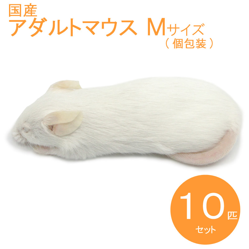 送料無料 冷凍マウスアダルトM50匹 アダルトL50匹 Amazon | ZAZOO