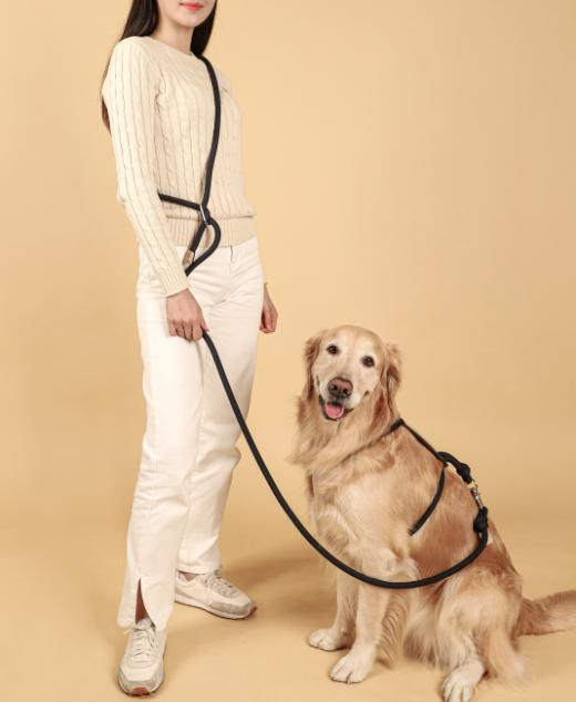 楽天市場】ハンズフリー リード 【HOZI】 送料無料 ハンズフリーリード