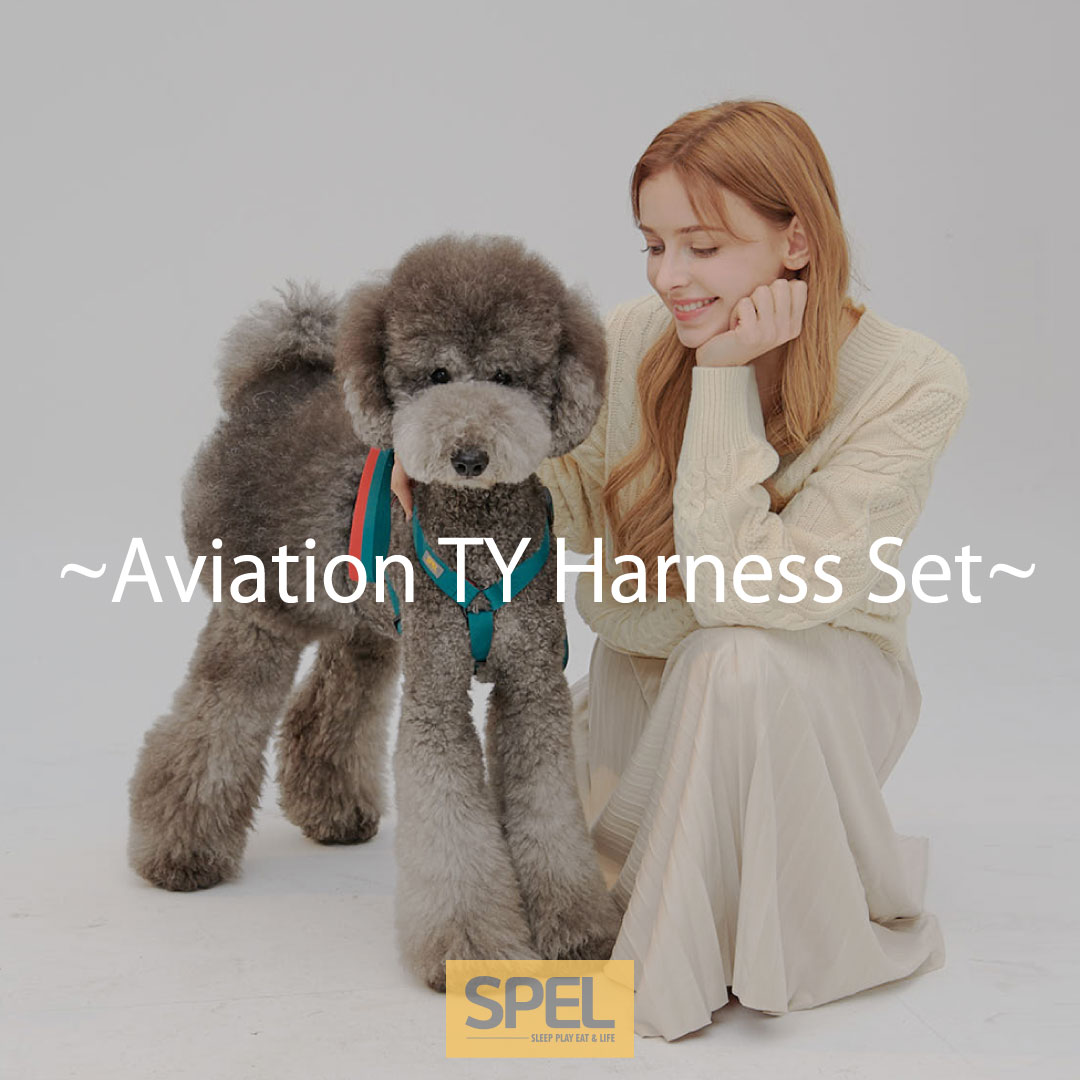 楽天市場】ハーネス&リードセット model：エビテーション 【SPEL