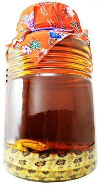 楽天市場】ヘリオス うるま沖縄 ハブ酒 ハブ入り40度 3800ml 【木箱