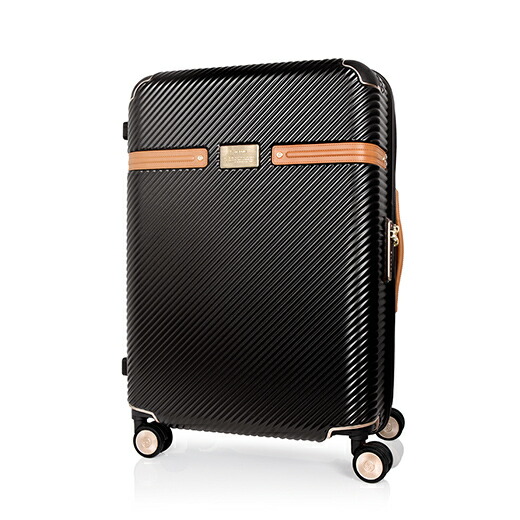 サムソナイト ブラックレーベル スーツケース」の人気商品一覧 | 安い