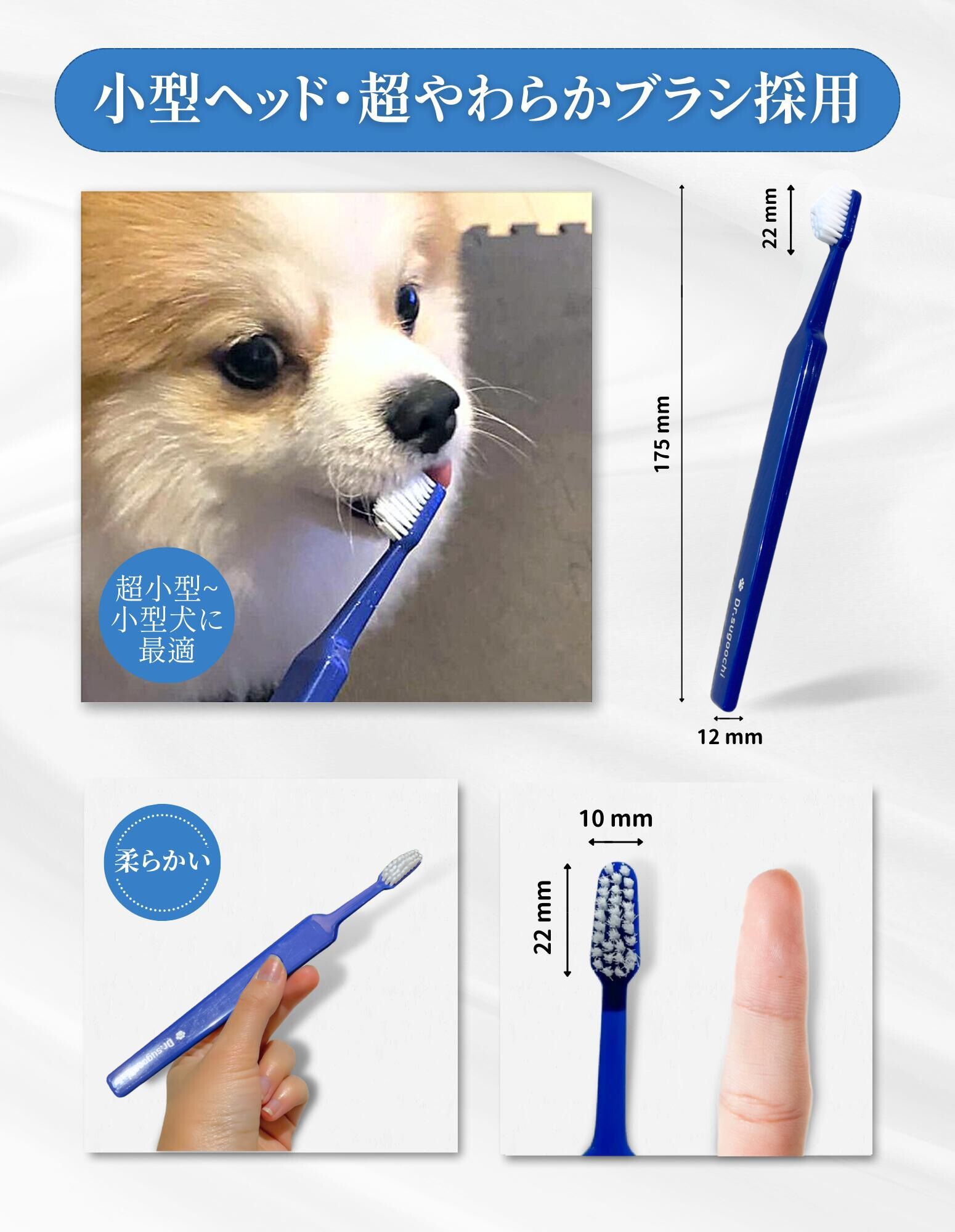 楽天市場】【☆セット購入がお得！】ドクターデンタルワン ドクター