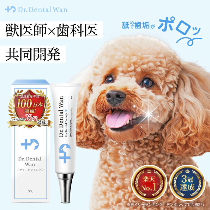 ドクターデンタルワン2本 【公式通販】