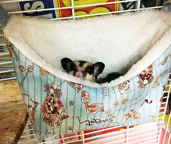 ももんがハンモック オーダーページ ハンドメイド ゆうパケットOK