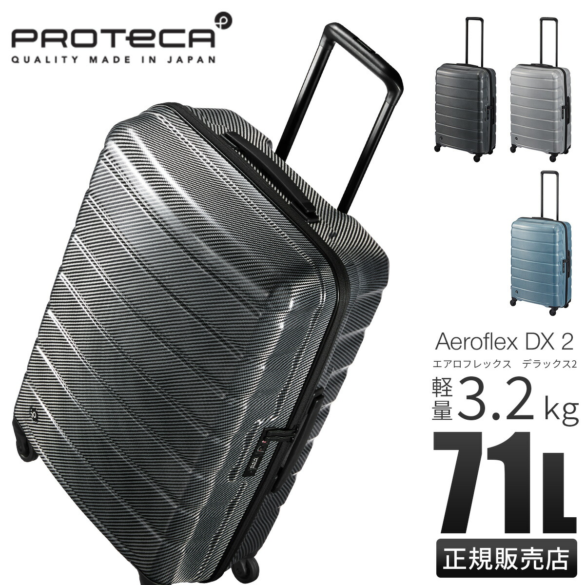 楽天市場】【最大37倍 2/10限定】エース プロテカ エアロフレックスDX2